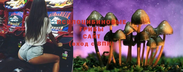 MESCALINE Богданович