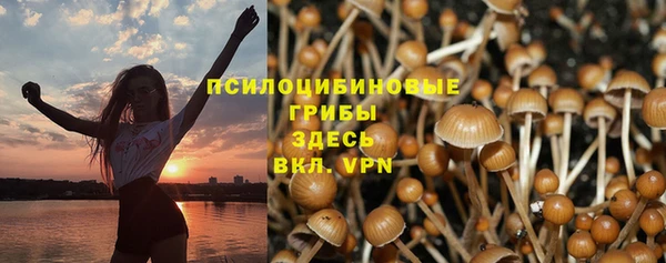 меф Богородицк