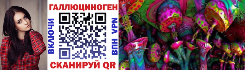 Псилоцибиновые грибы мицелий Боровичи