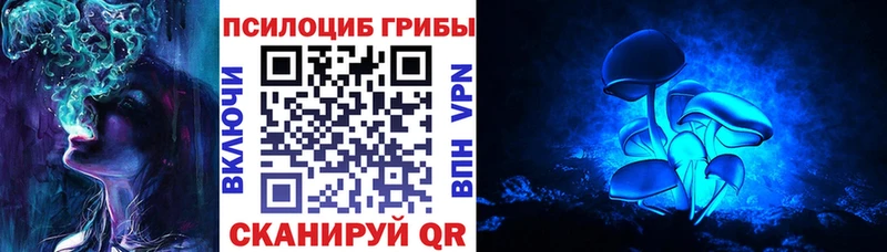 Псилоцибиновые грибы мухоморы  блэк спрут зеркало  Боровичи 